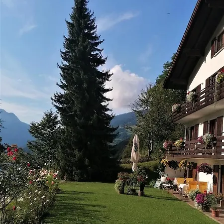 Dr. Schorm Apartment Schruns